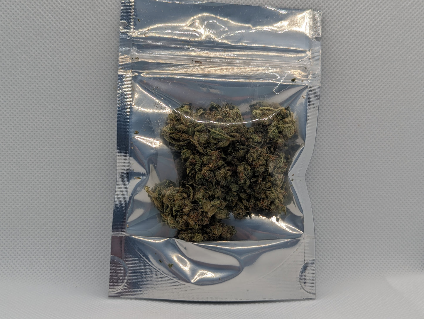 GMO T1 | Sativa