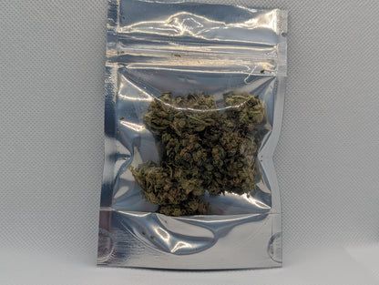 GMO T1 | Sativa